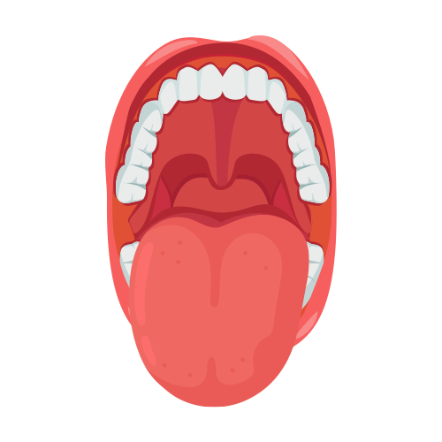 Santé bucco-dentaire et gingivale